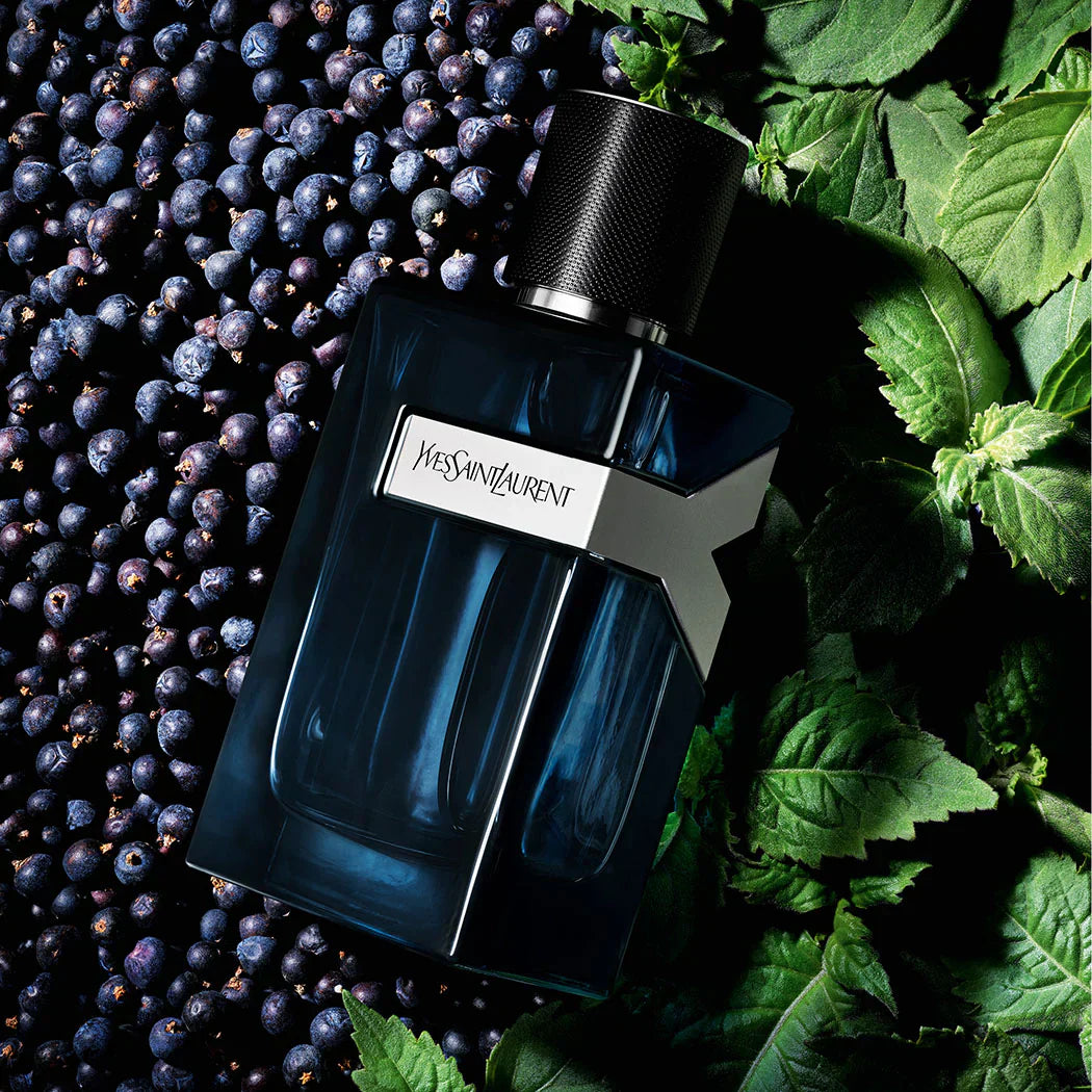 Yves Saint Laurent Y Intense EDP 100 ml Erkek Parfüm