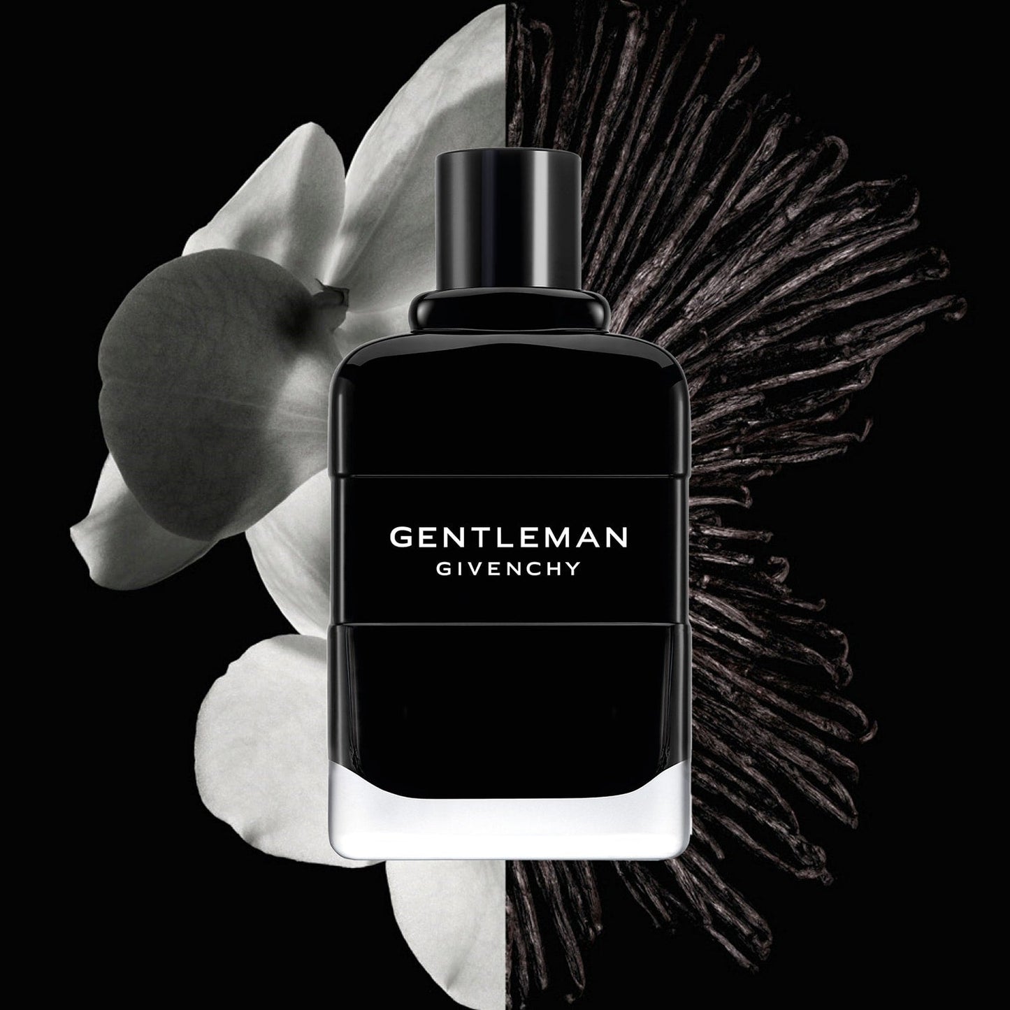 Gentleman - Eau de Parfum 100 ml Erkek parfum