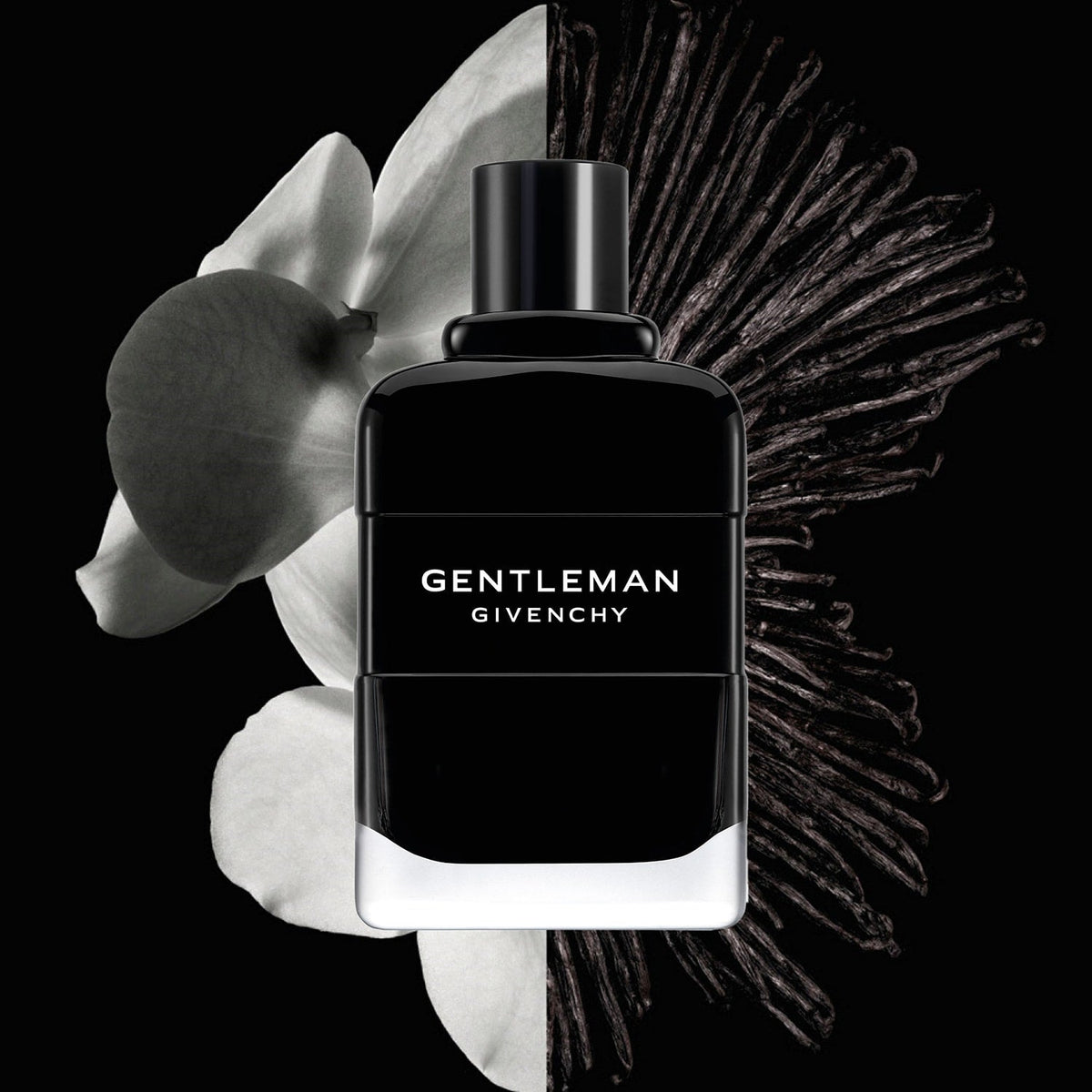 Gentleman - Eau de Parfum 100 ml Erkek parfum