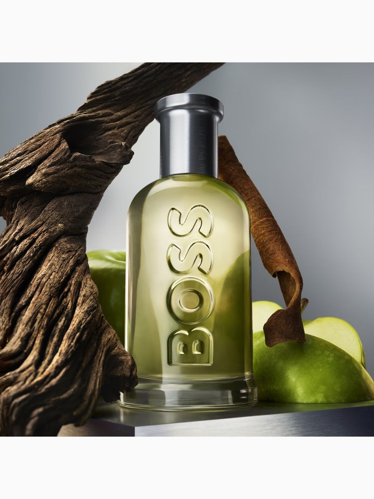 Hugo Boss Bottled – Eau de Erkek Parfüm 100 ML