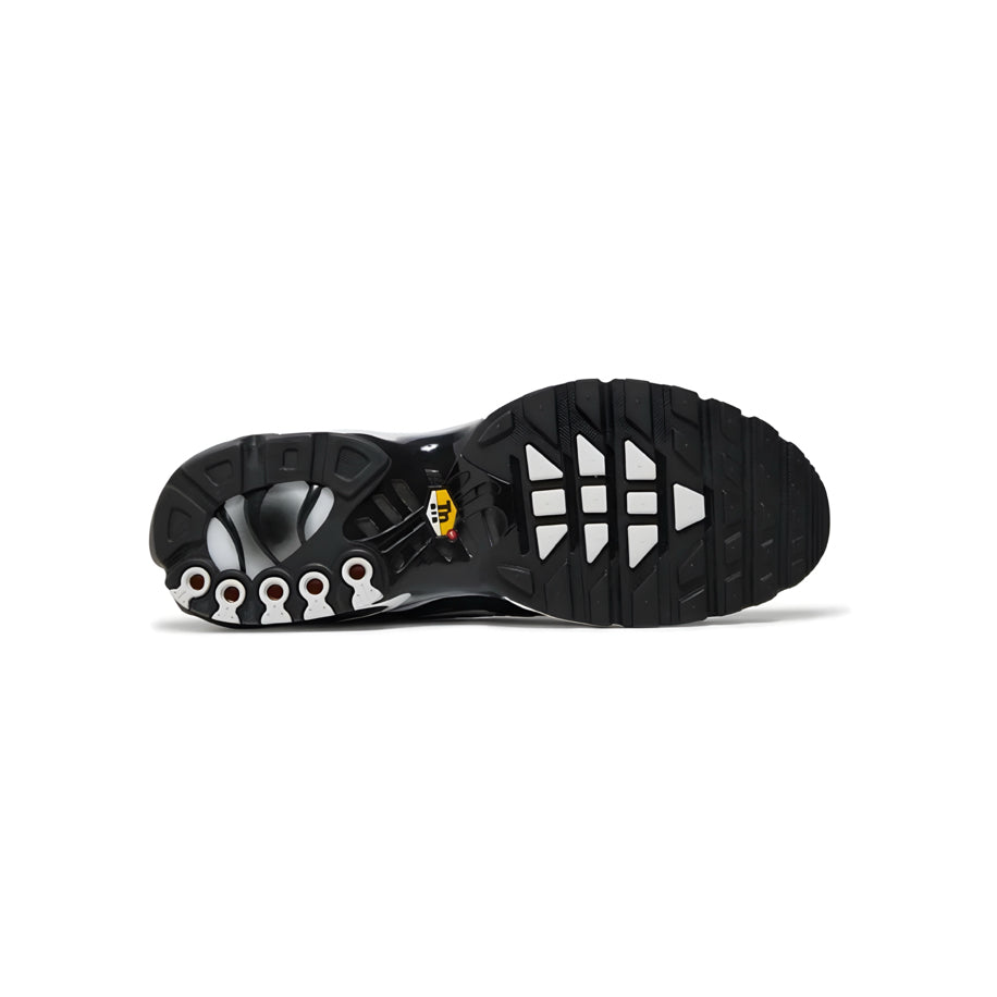Air Max Plus TN Black Metallic Silver