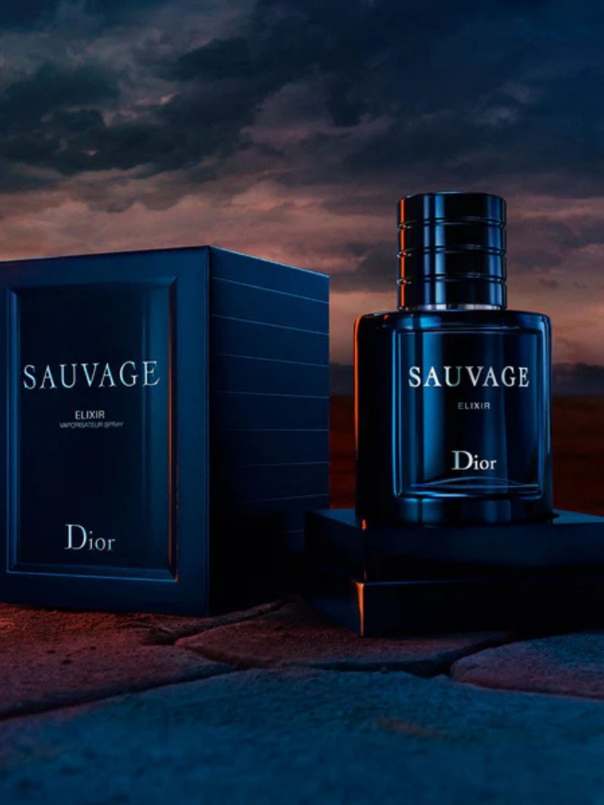 Dior Sauvage Elixir Erkek PARFÜM – 100 ML