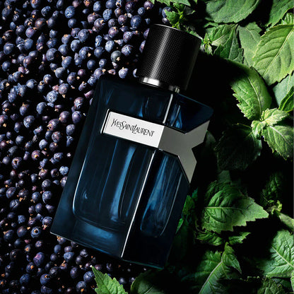 Yves Saint Laurent Y Intense EDP 100 ml Erkek Parfüm