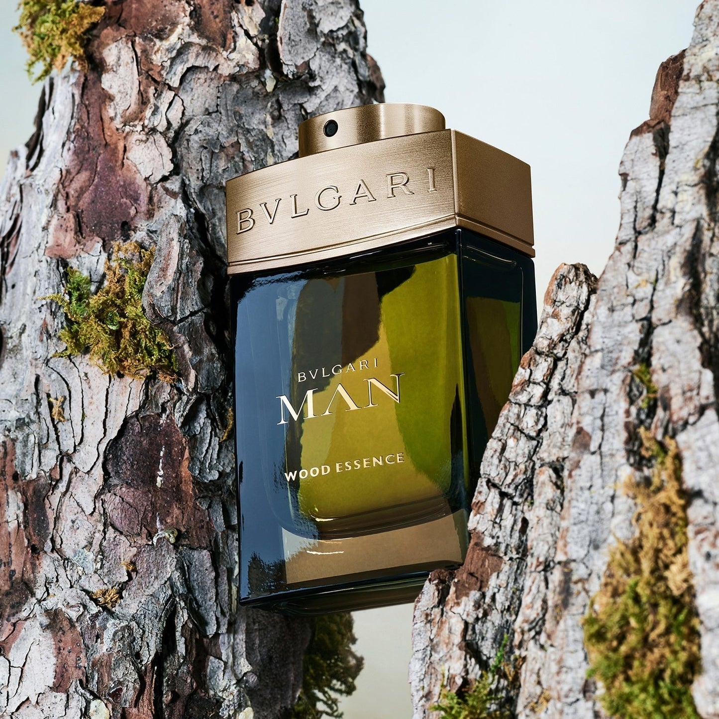 BVLGARI – Man Wood Essence EDP 100ml Erkek Parfümü