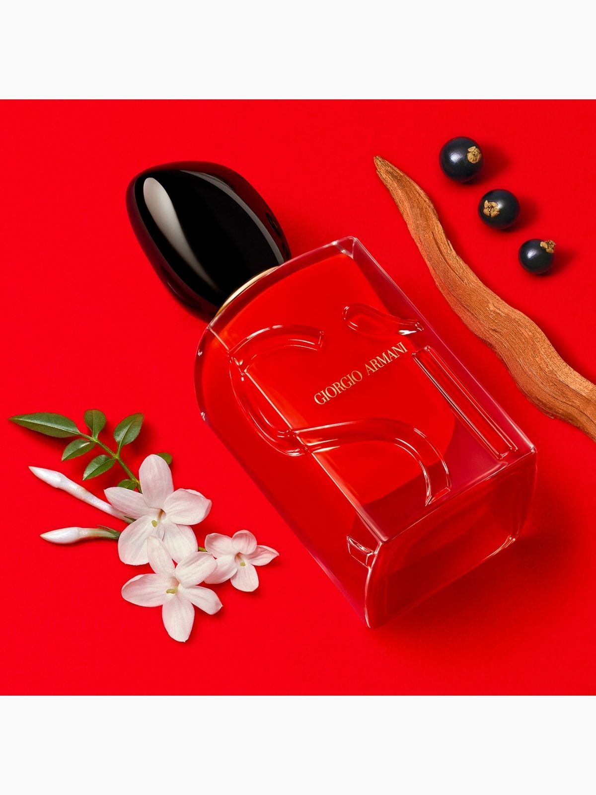 Si Passione – Eau De Kadın  Parfüm 100 ML