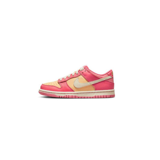 Nike Dunk Low Multicolor