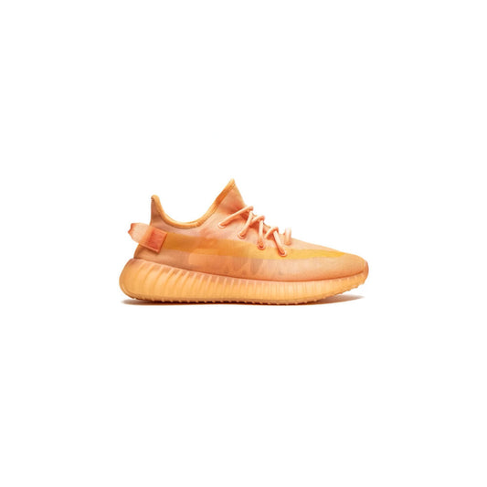 Adidas YEEZY Boost 350 v2 "Mono Clay"