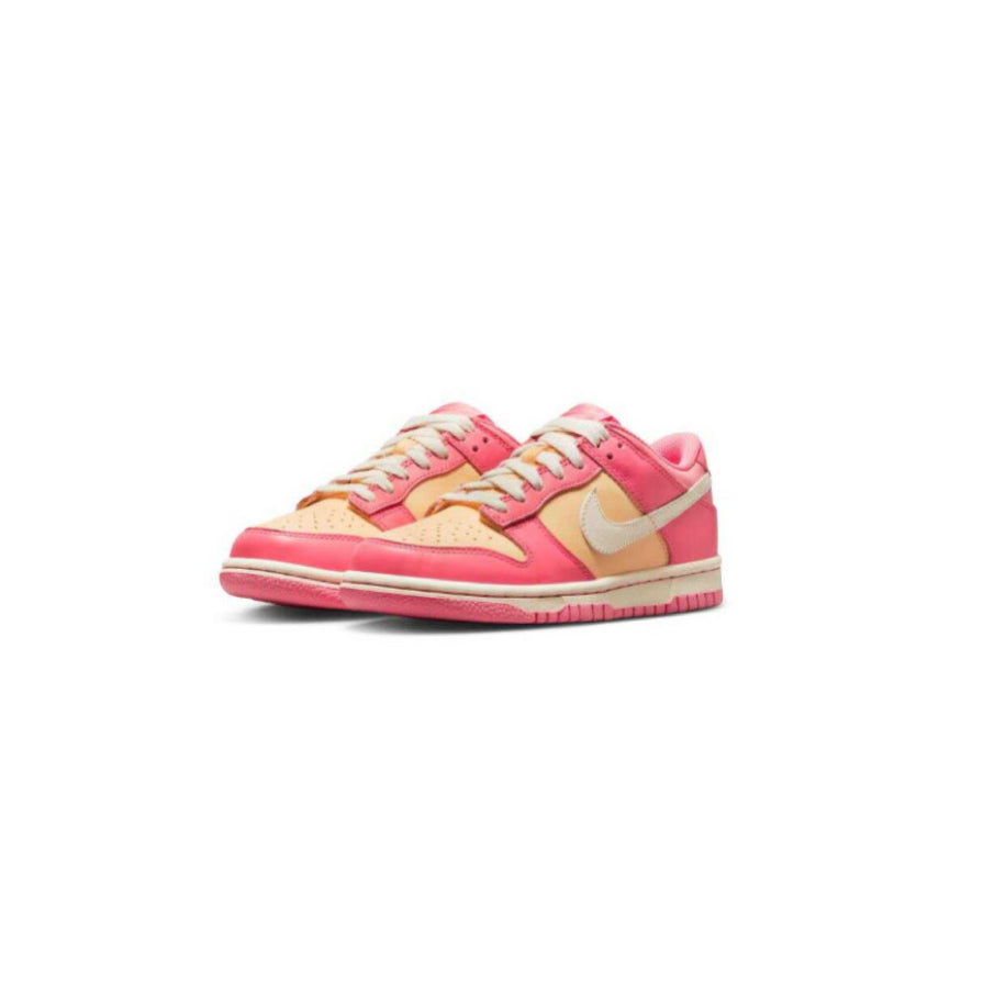 Nike Dunk Low Multicolor