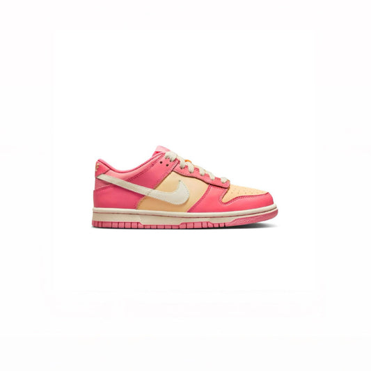 Nike Dunk Low Multicolor