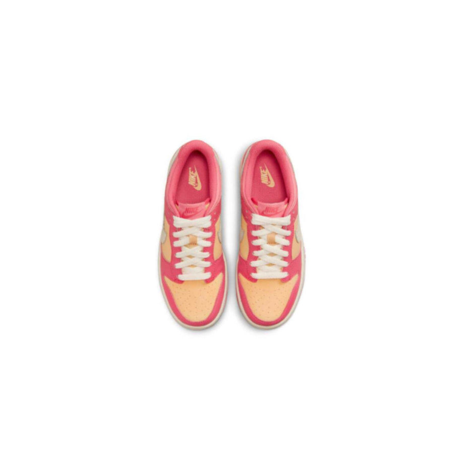 Nike Dunk Low Multicolor